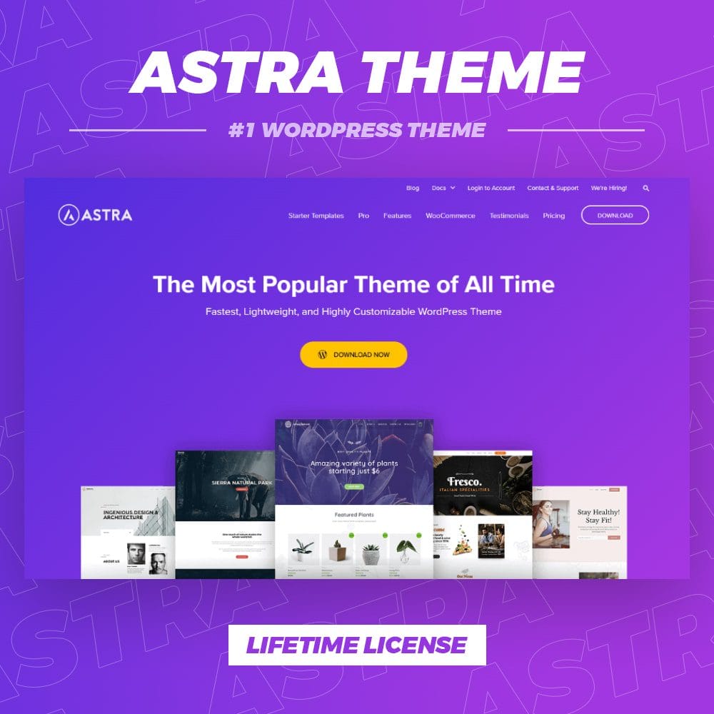 QuickSite Store - Astra Pro - Key chính hãng, bản quyền